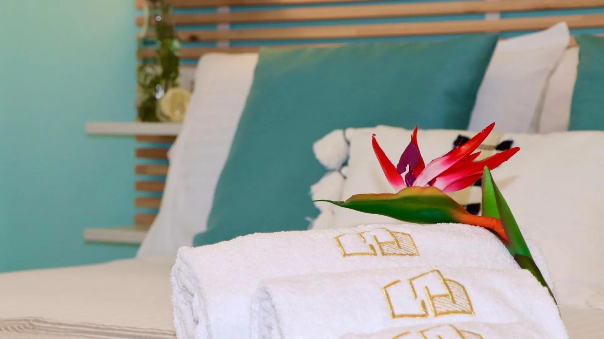 Golden Holiday 2 Ville Con Piscine Indipendenti E Separate Terrasini